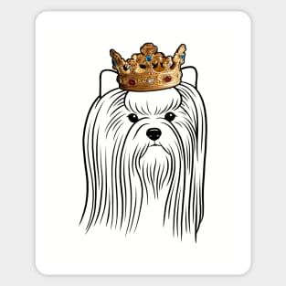 Biewer Terrier Dog King Queen Wearing Crown Sticker